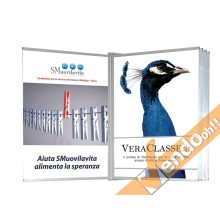 Espositore albo da parete 70x100
