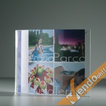 PORTA AVVISI DEPLIANT LOCANDINE FOTO TARGHE DA TAVOLO BANCO FORMATO 18x13 PAB206