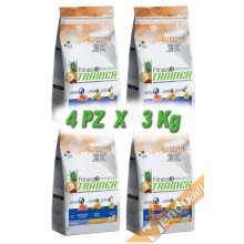 FITNESS3 ADULT MEDIUM MAXI SALMONE MAIS CANE ADULTO MEDIO GRANDE 3KG X 4 PZ